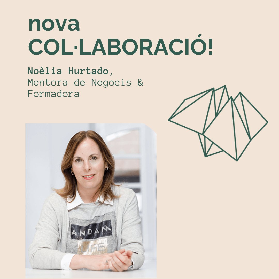 Mentoria i formació