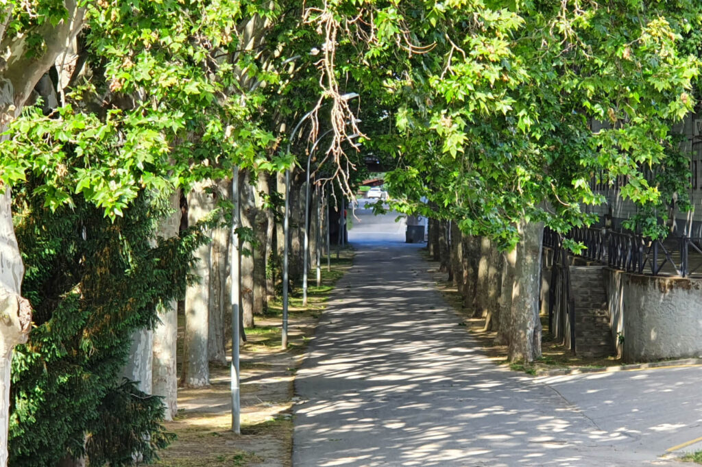 alquiler-salas-Sant Esteve Sesrovires