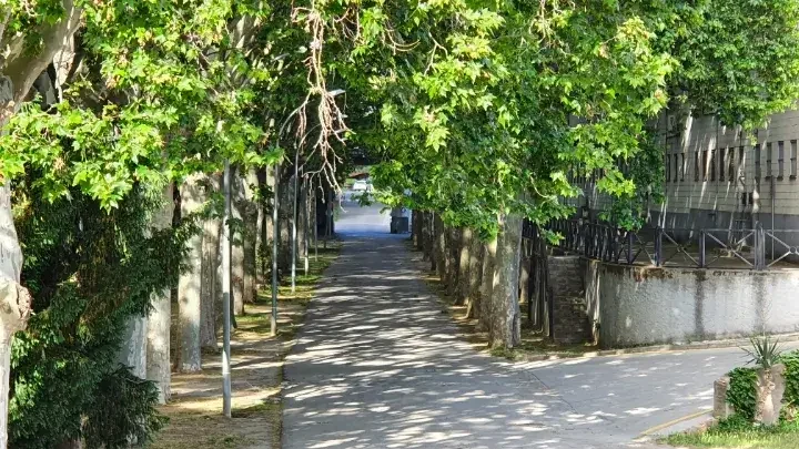 Acceso principal al coworking de Sant Sadurní d'Anoia por alameda arbolada con parking gratuito y fácil llegada desde A2.