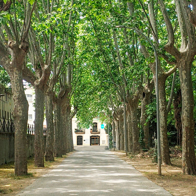paisatge la gelidense coworking penedes martorell