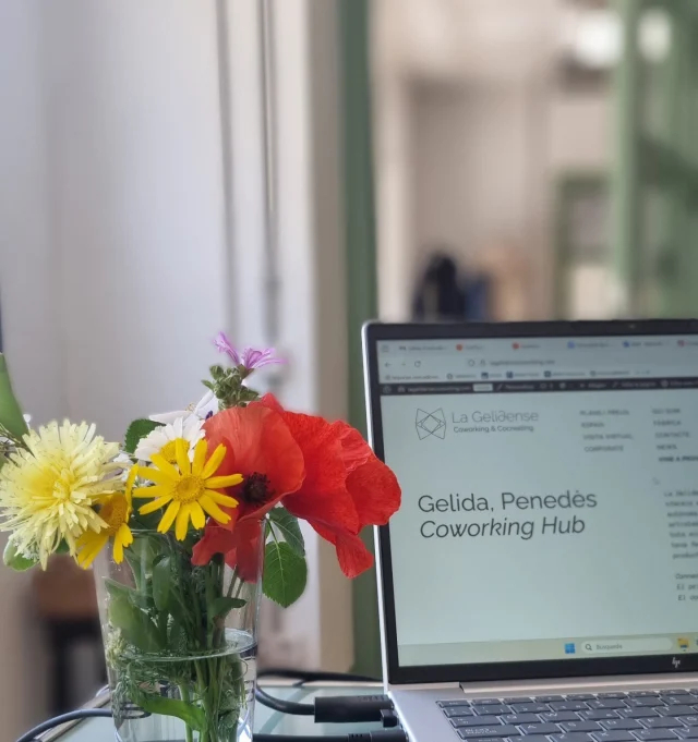 Bon dia a tothom! aquesta setmana és molt especial, estem de 3er aniversari i ho celebrarem agraïts de seguir remant perquè som un coworking que té història. Un espai amb patrimoni cultural, social i arquitectònic que ens permet viure experiències úniques 💚 gràcies per donar-nos suport tots aquests anys

#aniversari #coworkerlove #gelida #patrimonicultural #lagelidense