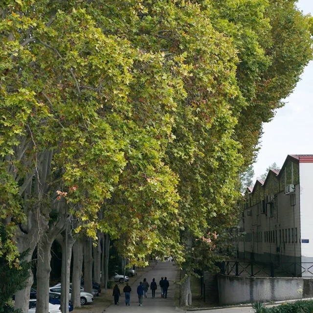 Grup de coworkers de La Gelidense fent un tomb 😁

Aquest no és un polígon normal. Aquests no són coworkers normals. Són únics 💚

Molí paperer. Patrimoni industrial.
Talent Km0 i bones persones Km0

#gelida #molípaperer #patrimoniindustrial #indústria #polígonsindustrials #polígin